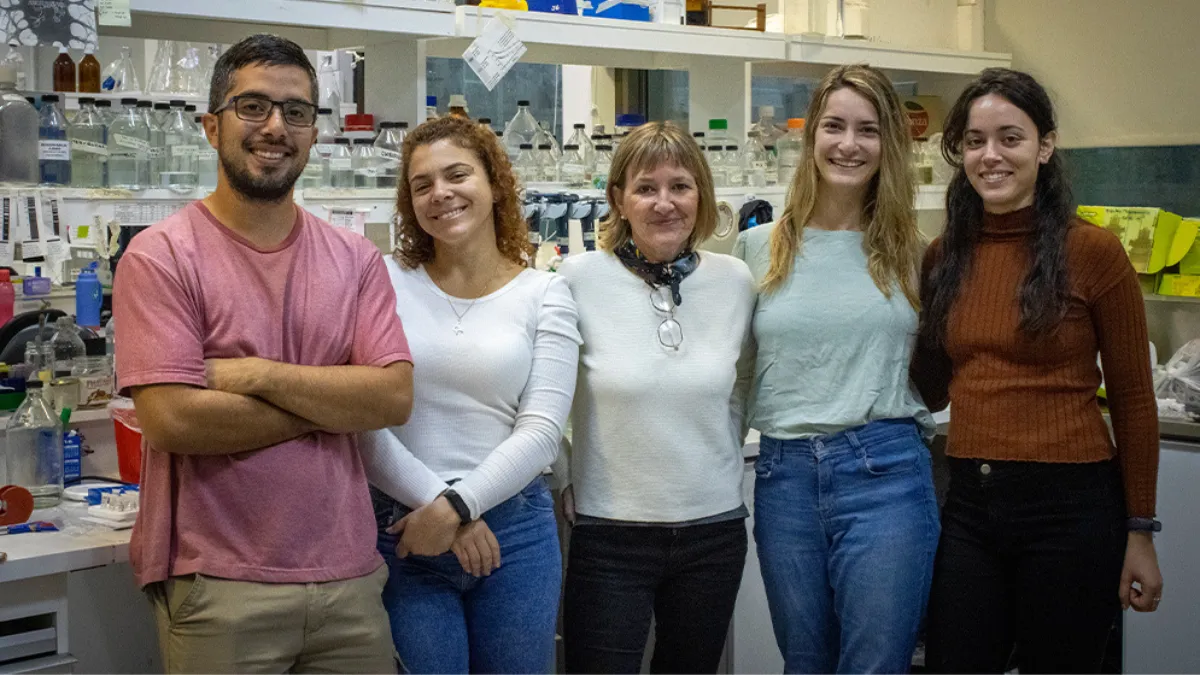 Investigadores santafesinos descubren que las neuronas se pueden regenerar