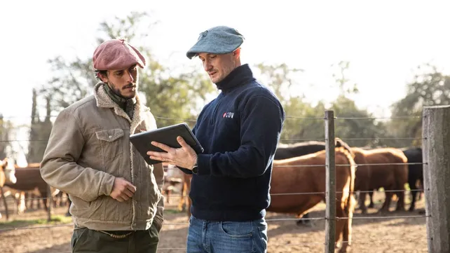 Veterinarios: el rol de los profesionales en la cadena de valor ganadera
