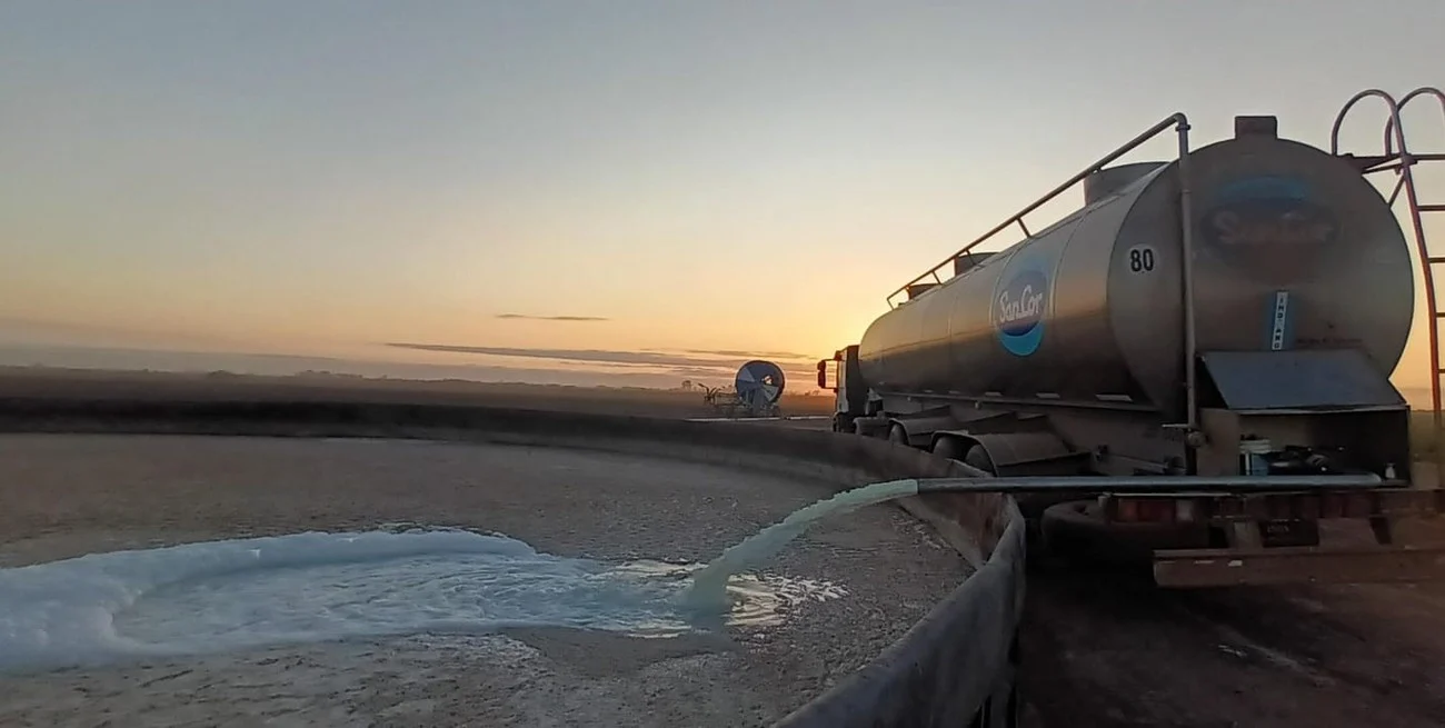 Sancor se ve obligada a desechar 100 mil litros de leche en el río: causas y repercusiones