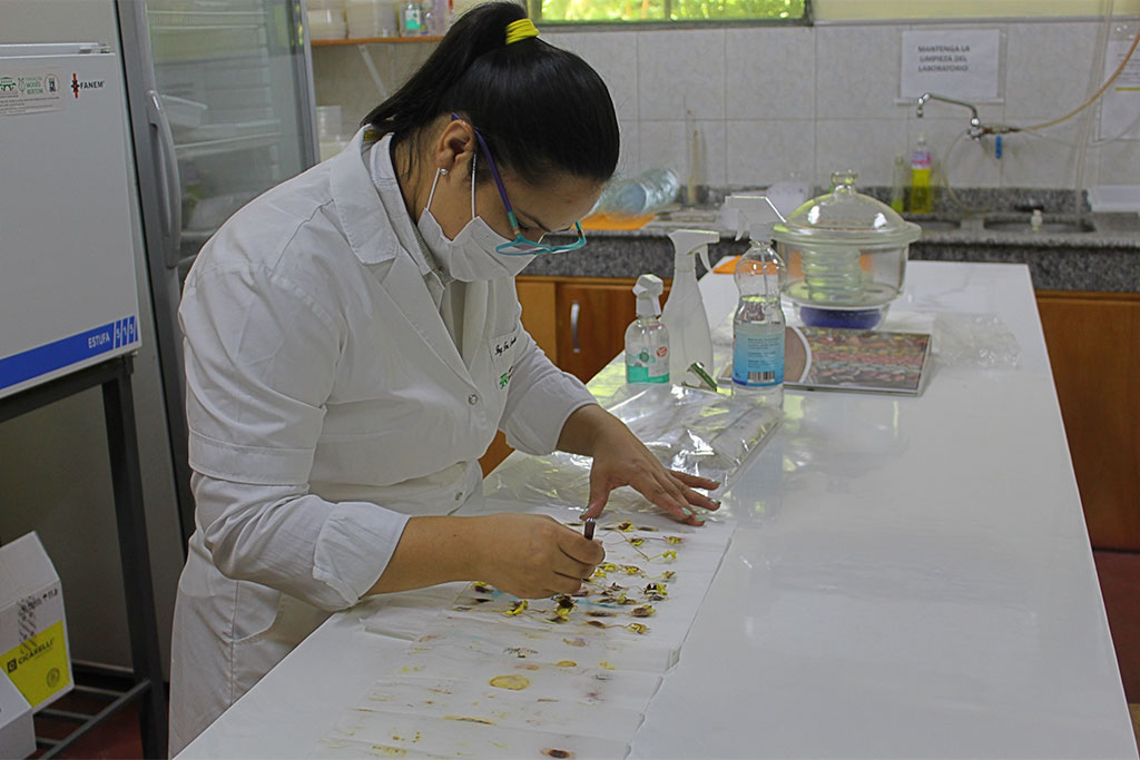 Facultad de Ciencias Agrarias: Inició con éxito la Semana de la Ciencia