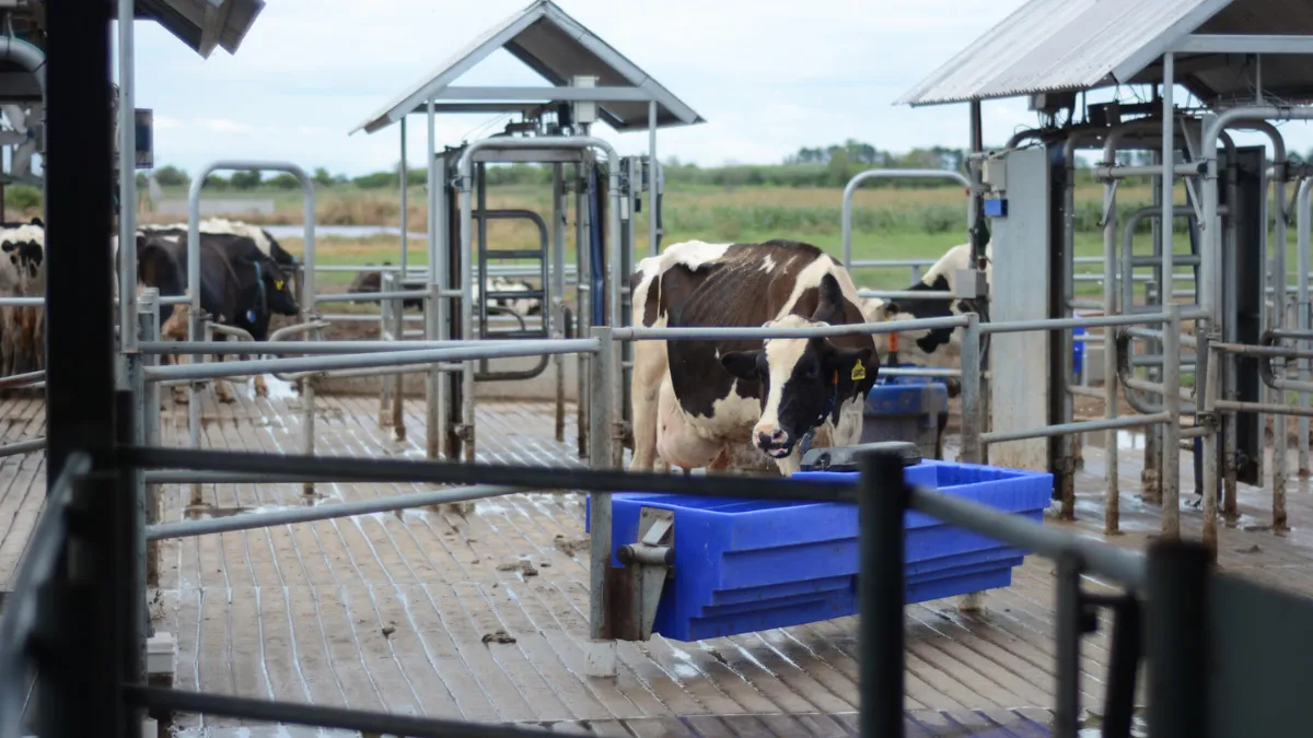 La empresa sueca DeLaval cerró su planta productiva en la localidad de El Trébol
