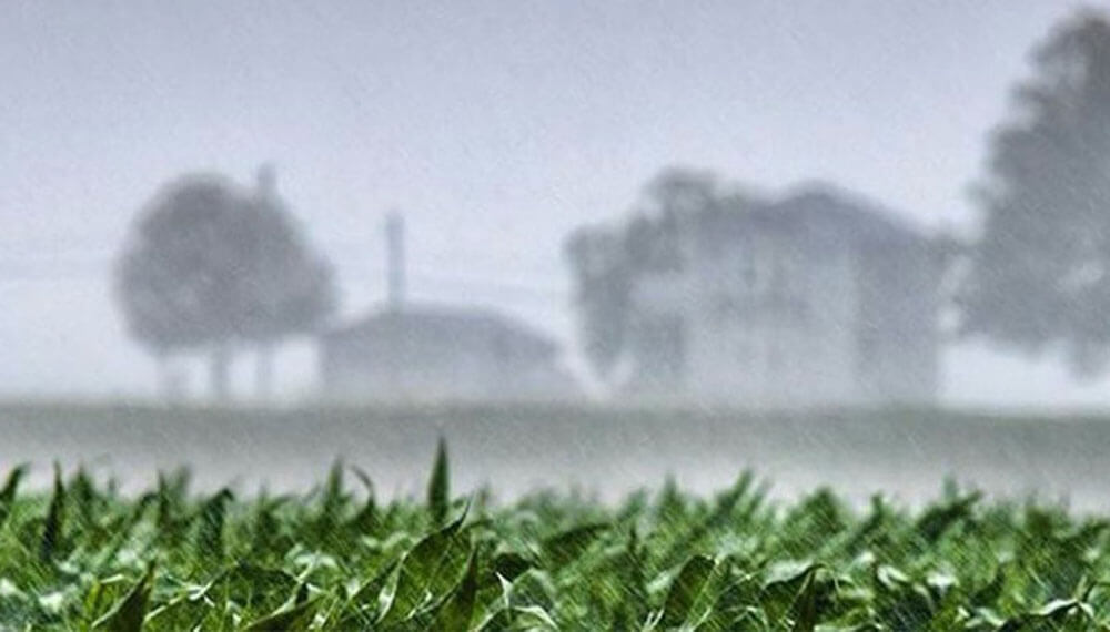 Continúa el alerta por tormentas para toda la provincia: ¿Cuántos milímetros llovió en Esperanza?