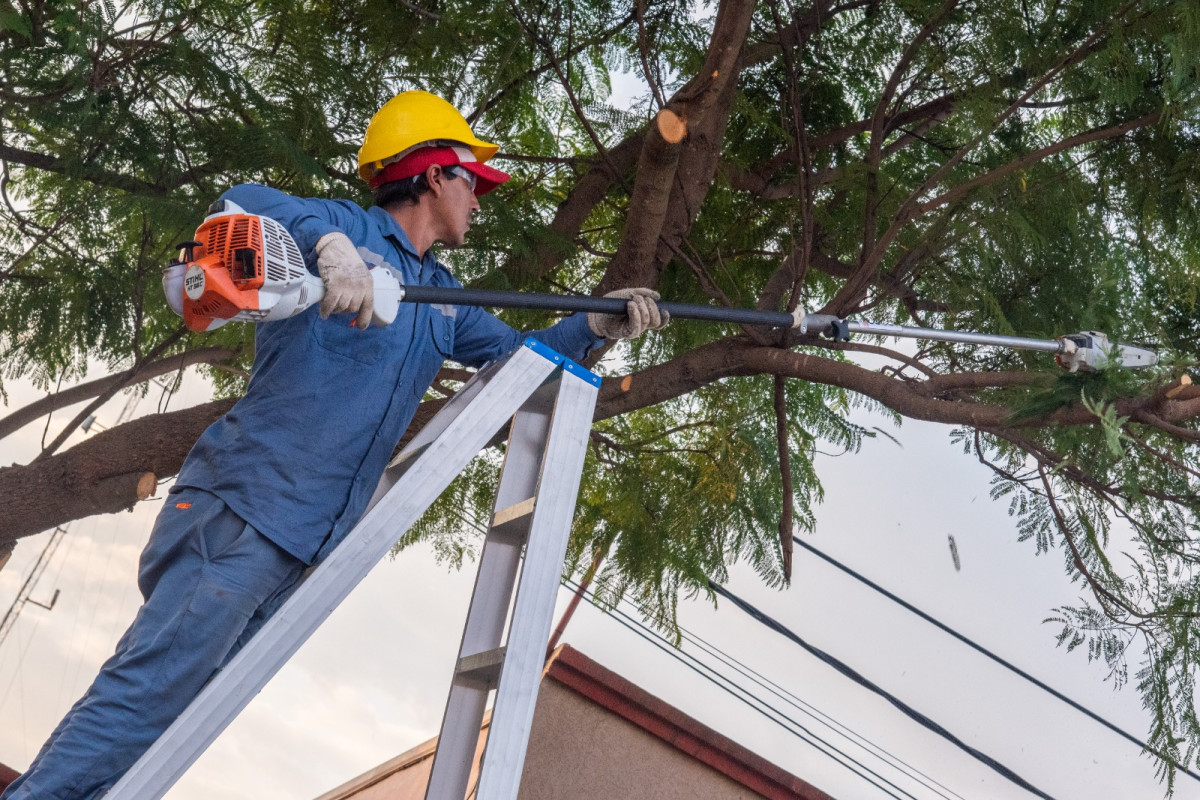 La Municipalidad de Esperanza informa sobre servicios y trabajos previstos para esta semana en la ciudad