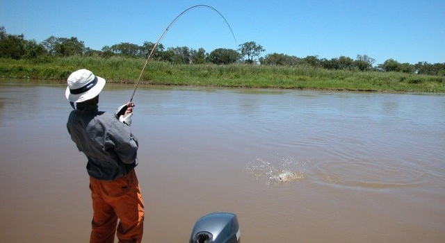 Ya se puede renovar la licencia de pesca deportiva de manera 100 % digital
