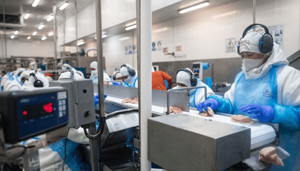 Agroexportaciones: a partir de marzo, la carne aviar argentina regresa al mercado europeo