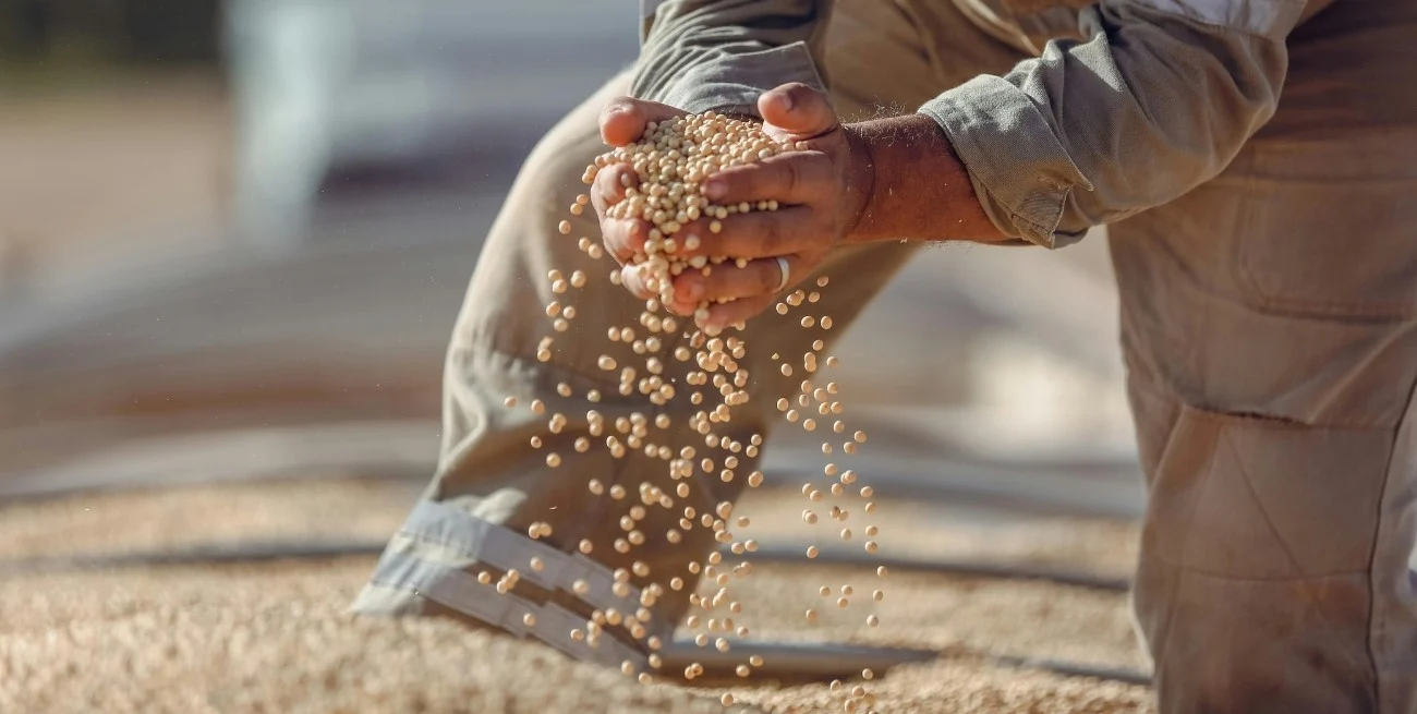 El Niño podría favorecer al agro argentino y las exportaciones a fines de 2026