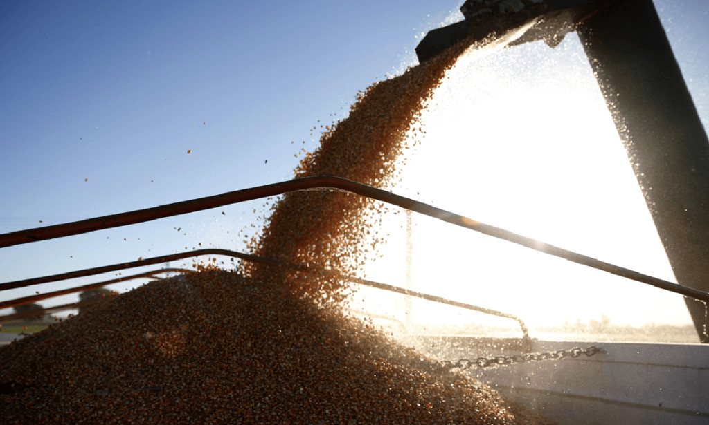 Si el fenómeno de El Niño acompaña, el agro podría aportar un récord exportador de US$ 42.200 millones en 2027